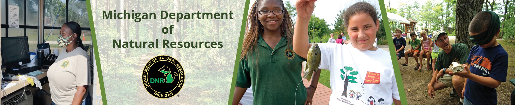 Position Description